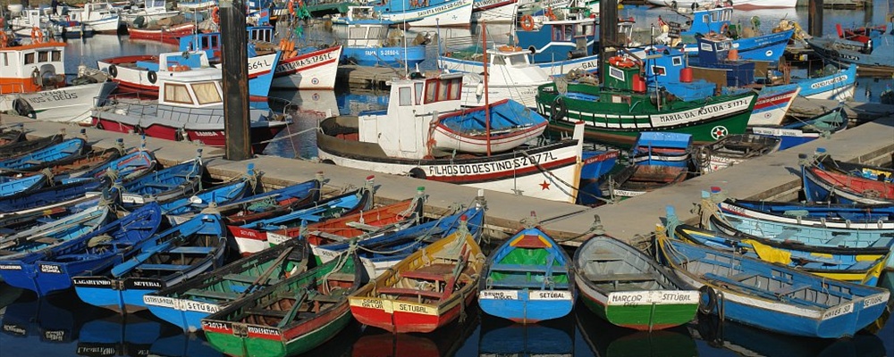 Fishing harbour in Setubal